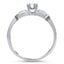 The Nicosia Ring, smallside view