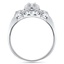 The Nasridine Ring, smallside view