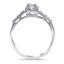 The Autumn Ring, smallside view