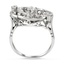 The Meliora Ring, smallside view