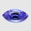 11.8x5.9mm  Bi-Color  Marquise   Tanzanite