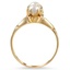 The Andrusia Ring, smallside view