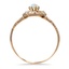 The Crane Ring, smallside view