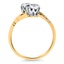 The Penny Ring, smallside view