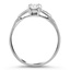 The Franklin Ring, smallside view