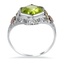 The Celsa Ring, smallside view