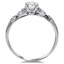 The Lewa Ring, smallside view
