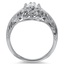 The Manasa Ring, smallside view