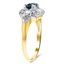 The Salamanca Ring, smalltop view on a hand