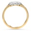 The Gayleen Ring, smallside view