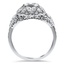 The Sydney Ring, smallside view
