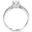 The Whitland Ring, smallside view