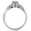 The Pixie Ring, smallside view