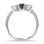The Othelia Ring, smallside view