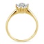 The Adore Ring, smallside view