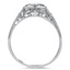 The Nichol Ring, smallside view