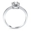 The Zabby Ring, smallside view