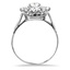 The Millbank Ring, smallside view