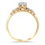 The Fieldbrook Ring, smallside view
