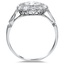 The Alamea Ring, smallside view
