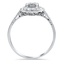 The Bonnes Ring, smallside view