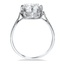 The Evalyn Ring, smallside view