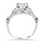 The Lera Ring, smallside view