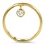 The Crespo Ring, smallside view