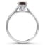 The Ozette Ring, smallside view