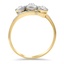 The Darice Ring, smallside view