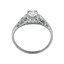 The Lupine Ring, smallside view