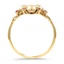 The Arlyn Ring, smallside view