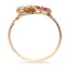 The Verlee Ring, smallside view