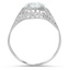 The Lungudi Ring, smallside view