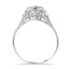 The Zaire Ring, smallside view
