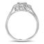 The Verene Ring, smallside view