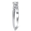 The Nicosia Ring, smalltop view on a hand