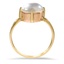The Blossom Ring, smallside view