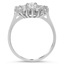 The Cohen Ring, smallside view