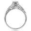 The Shasta Ring, smallside view