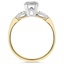 The Tyrol Ring, smallside view