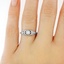 The Snow Fairy Ring, smalltop view on a hand