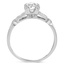 The Anja Ring, smallside view
