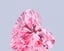 0.75 Ct. Fancy Vivid Pink Heart Lab Grown Diamond