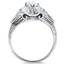The Tildie Ring, smallside view
