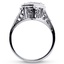 The Pamela Ring, smallside view