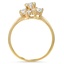 The Cheslie Ring, smallside view