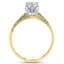 The Zanetti Ring, smallside view