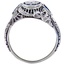 The Demeter Ring, smallside view