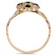 The Nevis Ring, smallside view
